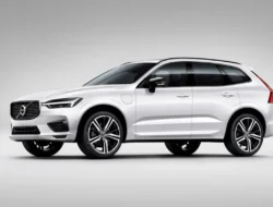 Hasil Studi Terbaru Ungkap Gen Z Pertimbakan PHEV untuk Mobil Masa Depan