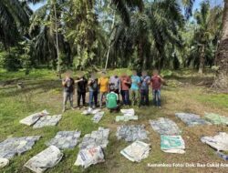 Ditjen Bea Cukai dan Polri Ungkap 6 Kasus Penyelundupan Narkoba, Total Barang Bukti Capai 470 Kg