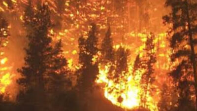 Netanyahu Tetapkan Keadaan Darurat Nasional Usai Kebakaran Hutan