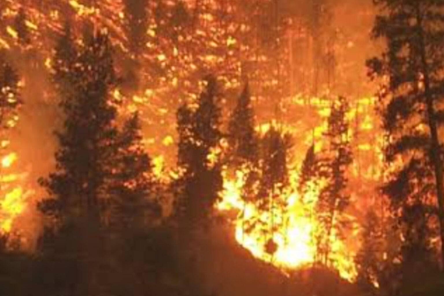 Netanyahu Tetapkan Keadaan Darurat Nasional Usai Kebakaran Hutan/(ilustrasi/@pixabay)