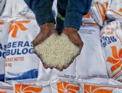 Pemerintah Tambah Serapan 1 Juta Ton Beras untuk Jaga Harga Gabah Petani