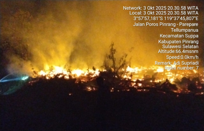 Laporan Bencana BNPB, Bencana Hidrometeorologi, Angin Kencang Bogor, Banjir Paser, Karhutla, BNPB terkini