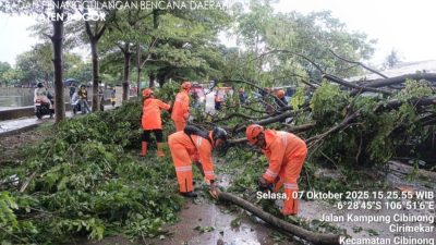 BNPB Rilis Situasi Bencana Terbaru: Banjir Simalungun & Update Identifikasi Korban Sidoarjo
