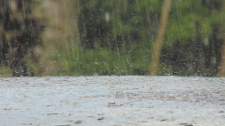 BRIN Temukan Mikroplastik di Air Hujan, DPR Mendesak Regulasi Limbah Tekstil dan Fast Fashion