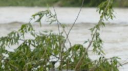 Bantuan Bencana: 4 Pesawat Militer Dikerahkan ke Sumatra