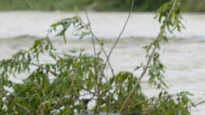 Bantuan Bencana: 4 Pesawat Militer Dikerahkan ke Sumatra