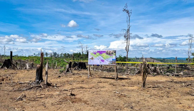 2.390 Hektare Hutan Lanskap Seblat Berhasil Dikuasai Kemenhut