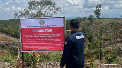 Investigasi Kerusakan Hutan Tapanuli di DAS Batang Toru, Kemenhut Selidiki 12 Subjek Hukum