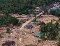 Kepala Bapperida Dikky Anugerah Rinci 3 Skala Prioritas Pemulihan Ekonomi dan Sosial Sumut