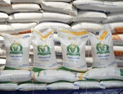 Direktur Utama Perum Bulog Ahmad Rizal Ramdhani Pastikan Stok Lima Juta Ton Aman